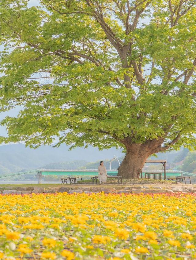 사랑 가득한 여행 하기 좋은 힐링 도시 화천🌿