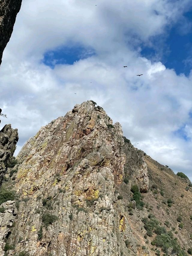 Birdwatching Bliss & Cliffside Views at Salto del Gitano