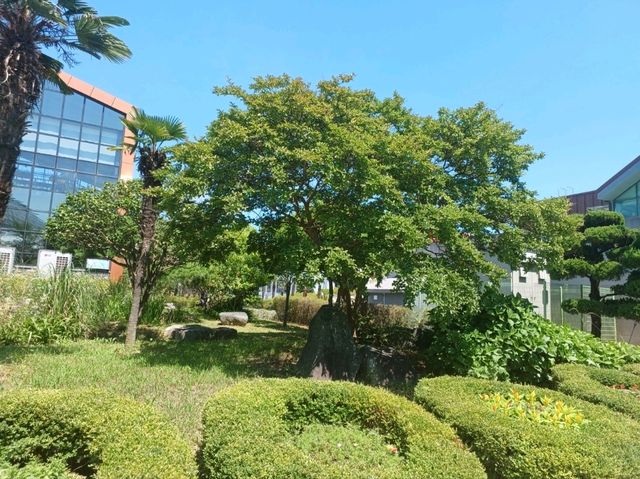야외까지 관람필수!