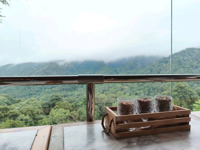 First Valley Coffee Estate