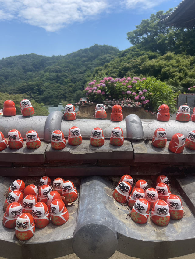 Unveiling the Daruma Temple in Osaka 