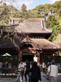 【多久聖廟】日本最古の孔子廟で、静寂と知の旅へ📚⛩️