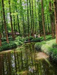 Skip the Crowds: Discover Quyuan Fenghe