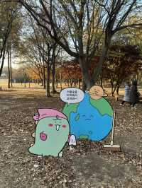 Autumn at Seoul Forest (서울숲)