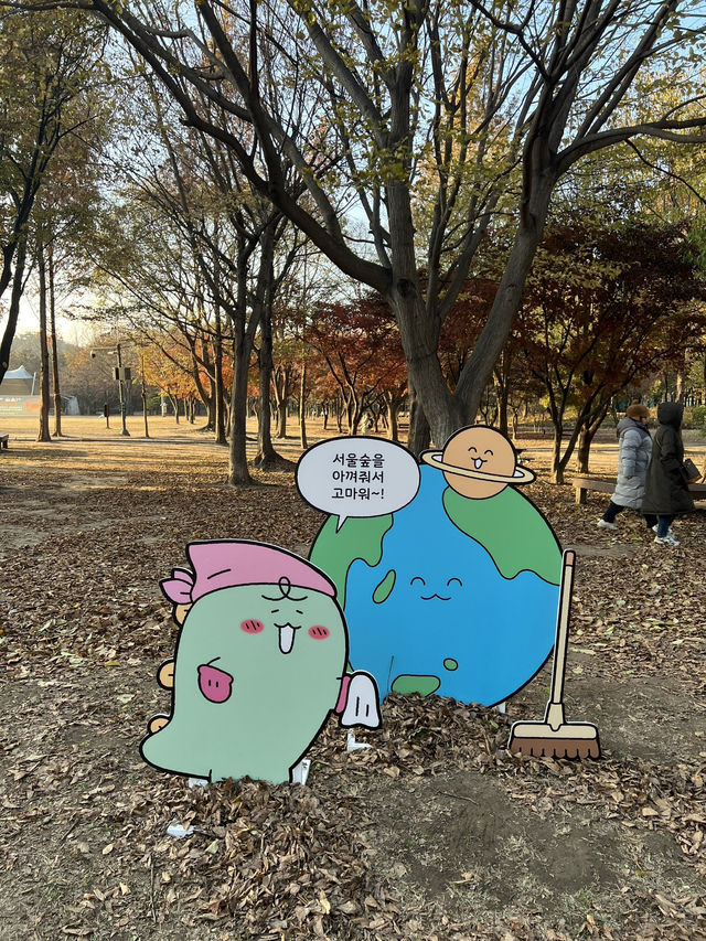 Autumn at Seoul Forest (서울숲)