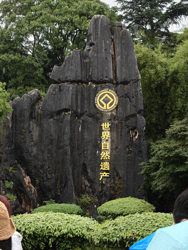Yunnan Kunming Natural Stone Formation
