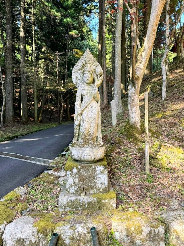 Above the Clouds at Mount Hiei – Japan