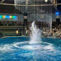 Maxell Aqua Park Shinagawa 🐡🐠🐟