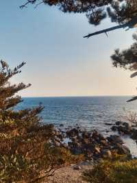 Discovering Hidden Tide Pools and Marine Life