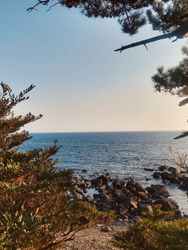 Discovering Hidden Tide Pools and Marine Life