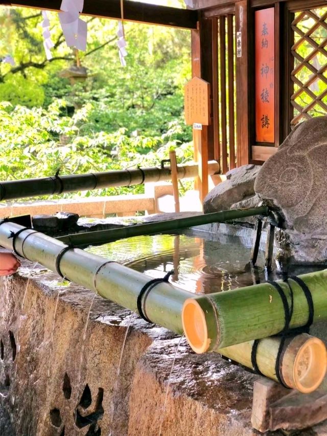 Walking Around Sumiyoshi Taisha – A Peaceful Step Back in Time