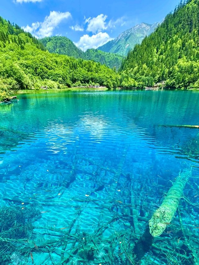 Jiuzhaigou Valley: A Living Fairytale on Earth