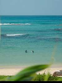 奄美大島で心ほどける島時間。青い海と緑の森に癒される旅