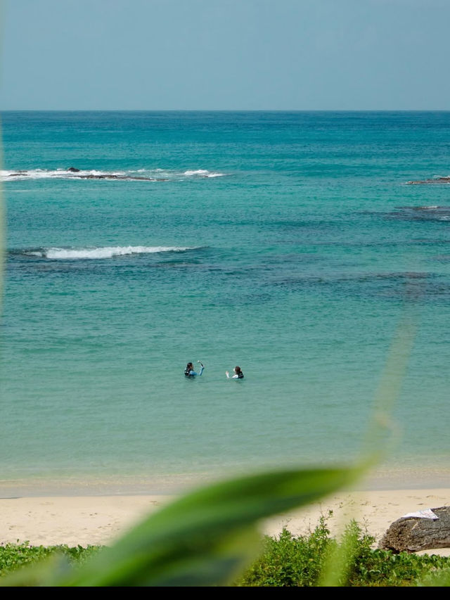 奄美大島で心ほどける島時間。青い海と緑の森に癒される旅