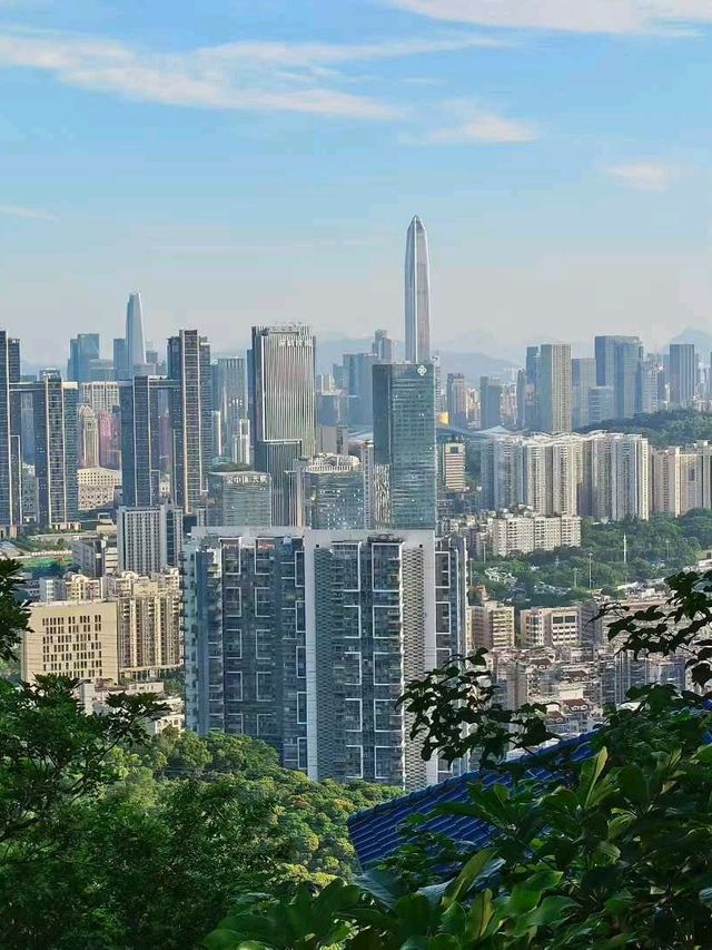 Shenzhen Skyscraper Awe