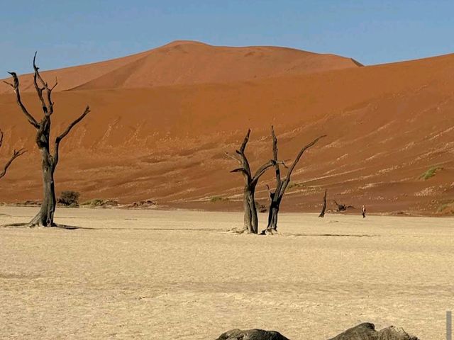 Sossusvlei – “Mars Meets Namibia”