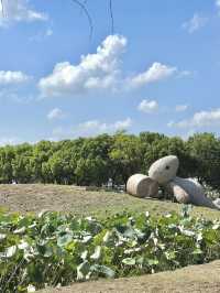 Jiabei Country Park Travel Guide｜A Floral & Countryside Escape Near Shanghai