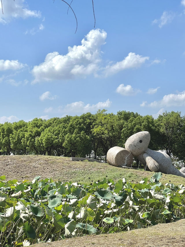 Jiabei Country Park Travel Guide｜A Floral & Countryside Escape Near Shanghai