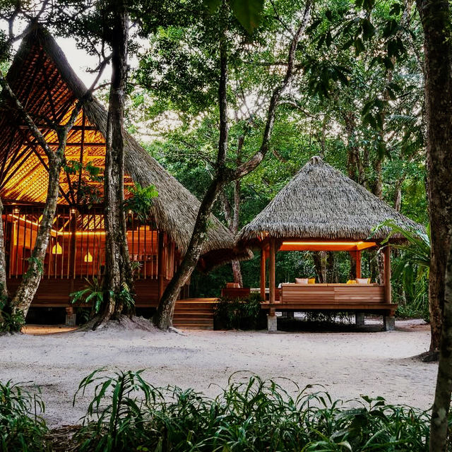 Sacred Stillness in the Rainforest Sacred Stillness in the Rainforest