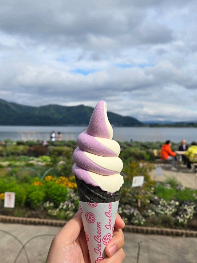 五月的河口湖🏞🏔藏着一片會飛嘅藍💙💙