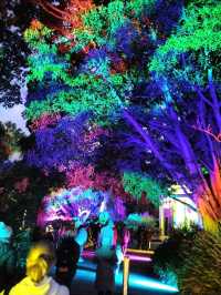 🎆Lightscape Part 1🎆