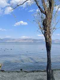 🇨🇳Dali ต้าหลี่ – เมืองโบราณริมทะเลสาบ Erhai Lake