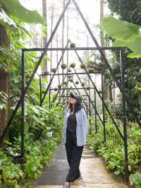 Bandung Classic 2D1N Itinerary