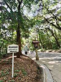 東京明治公園
