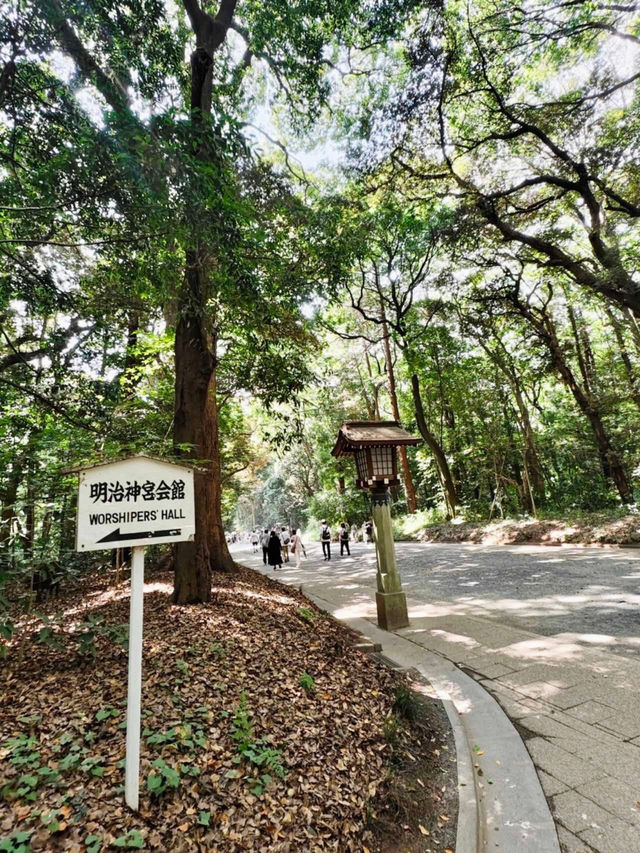 東京明治公園