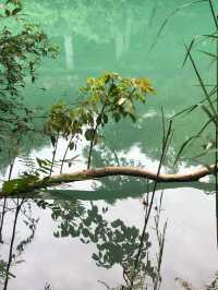 Unplug and Unwind in the Heart of Guizhou