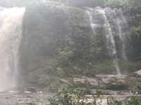 Kerchor elephant eco park