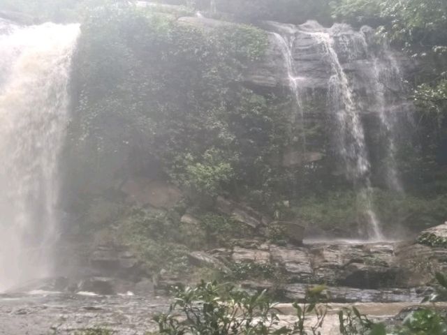 Kerchor elephant eco park