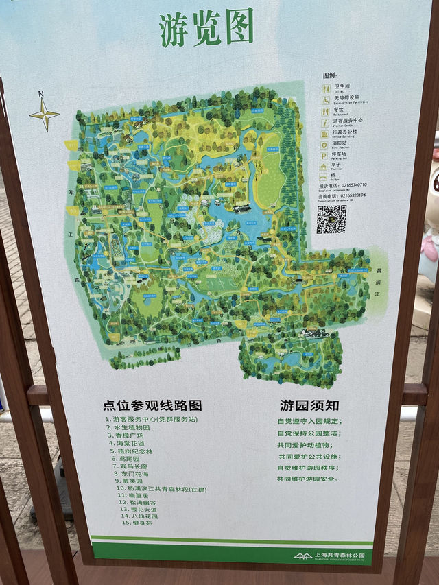 上海4A級國家森林公園-共青森林公園🌳🌿🐿️