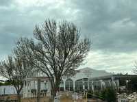 澳洲阿得雷德、墨爾本+新加坡親子遊