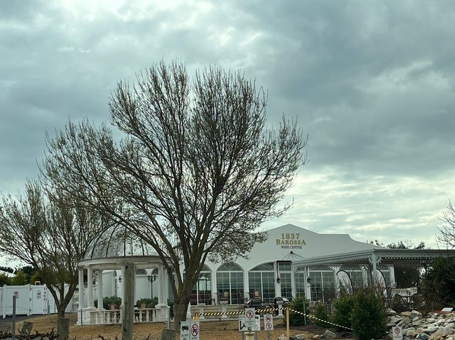 澳洲阿得雷德、墨爾本+新加坡親子遊