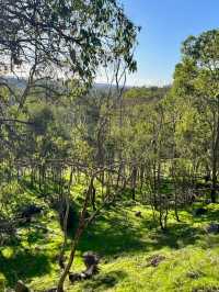 John Forrest National Park – Western Australia’s Oldest National Park