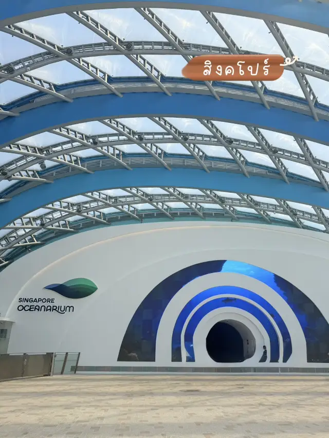 📍Singapore Oceanarium คุ้มค่าทุกราคาตั๋ว👍