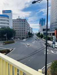新潟 無法形容的美麗城市