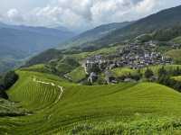 Rice Terrace Dream🌾