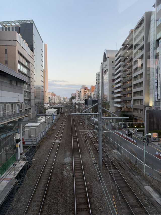 🌆 東京市區一日遊：銀座購物與築地海鮮的經典味蕾之旅！🛍️🍣