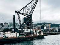 紐西蘭旅遊景點—  🚶‍♂️ Wellington Waterfront Walk（威靈頓海濱步道） 