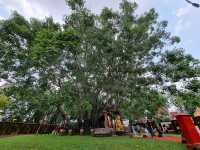 🌳 Ancient Bodhi & Healing Heritage