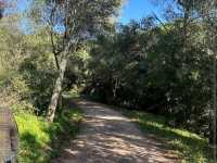 Monsanto Forest Park