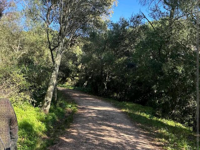 Monsanto Forest Park