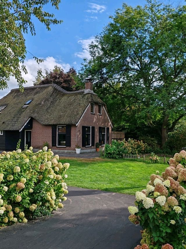 Late Summer Blooms in Giethoorn