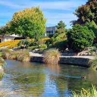 Pollard Park – Blenheim’s Lush Haven of Garden, Stream & Community