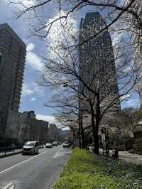 2025.03.28 櫻花季東京獨旅五天四夜行程 p6 第四天行程大公開(1.愛宕一帶)