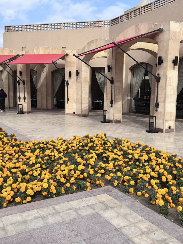 [埃及旅遊］Marriott Mena House, Cairo📜見證開羅宣言歷史的一刻