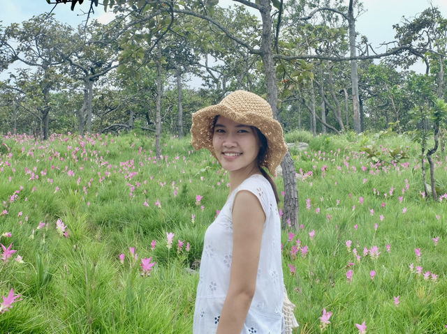 นั่งรถไฟไปตามหาทุ่งดอกกระเจียว