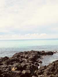 The Perfect Family-Friendly Shoreline